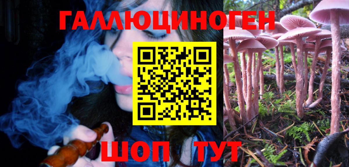 Керчь  Галлюциногенные грибы Psilocybine cubensis  Вход с VPN  Псилоцибиновые грибы GOLDEN TEACHER 