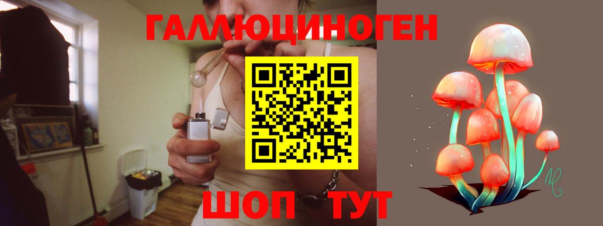 Галлюциногенные грибы GOLDEN TEACHER Керчь